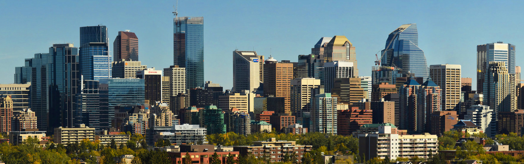 calgary cleanning girl contact image